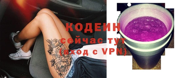 шишки Лагань