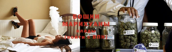 шишки Лагань