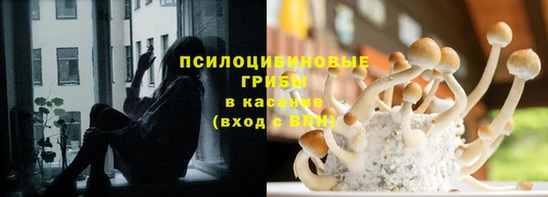 спайс Кулебаки