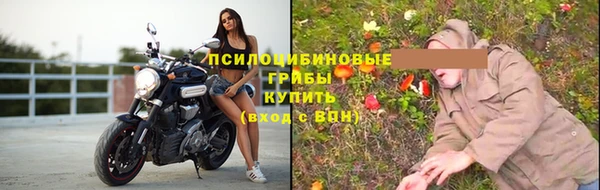 герыч Ладушкин